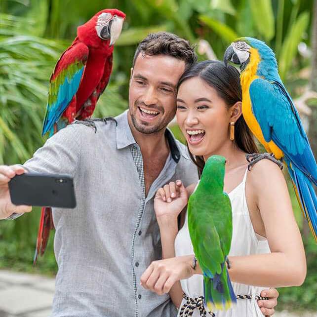 Bali Bird Parks