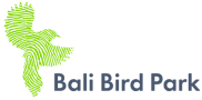 Bali Bird Park