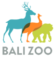 logo-balizoo